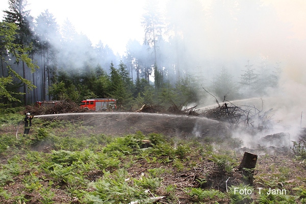 Symbolfoto: Waldbrand. Foto: Timo Jann