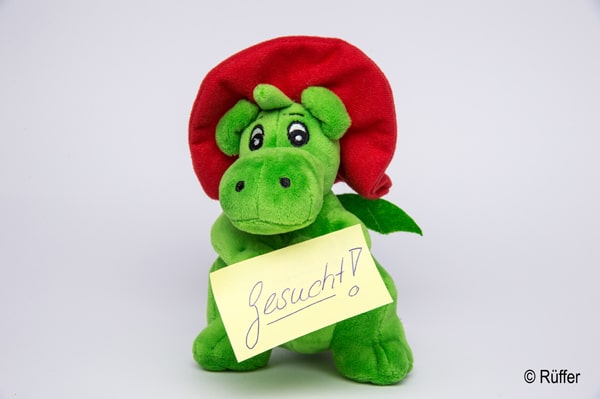 Symbolfoto_Gesucht