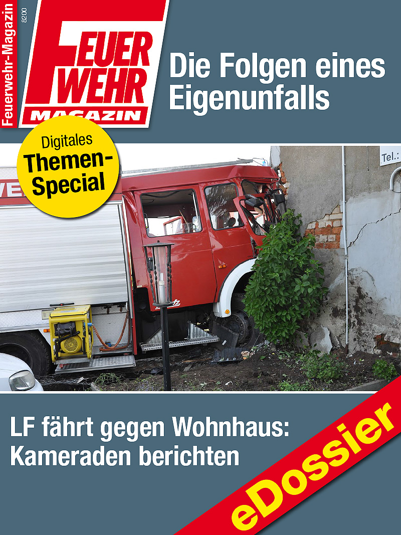 Produkt: Download Die Folgen eines Eigenunfalls